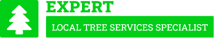 Franklin Tree Services - Tree Removal Auckland